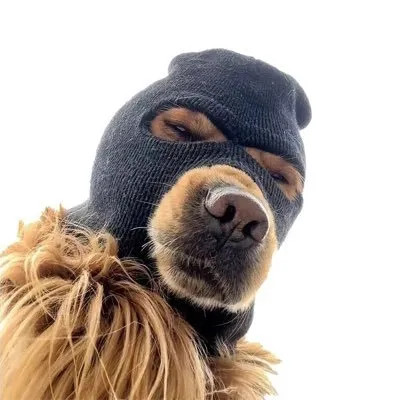 Skimaskdog Tech logo