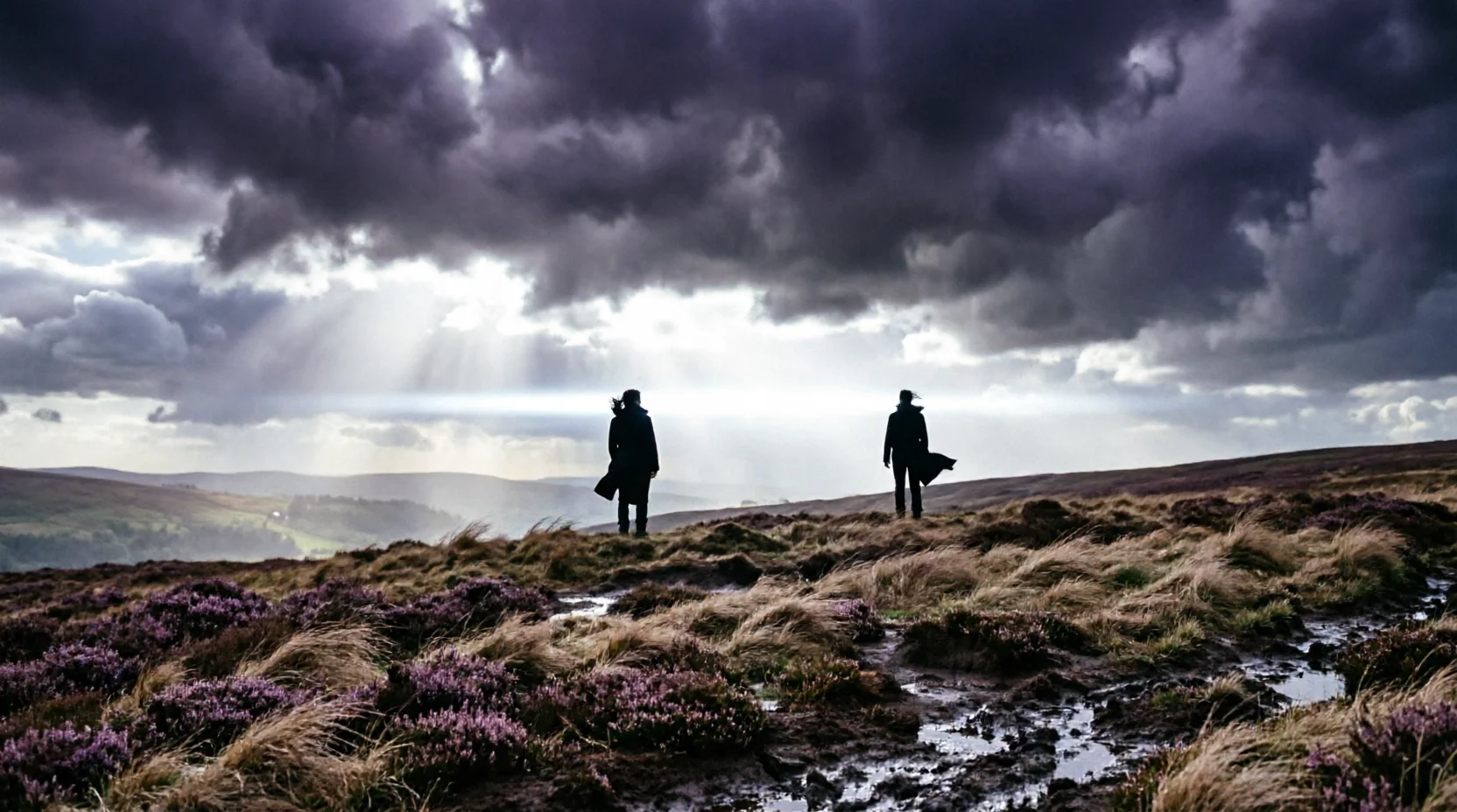 Wuthering Heights Is Now on HBO Max: The $80M Choice That Said More About Cinema Than Any Film This Year